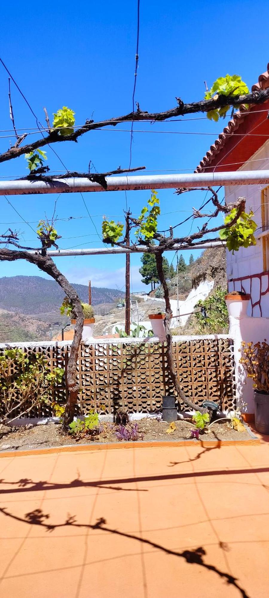 Casa Cueva Rural Trebola, Artenara Juncalillo Ngoại thất bức ảnh